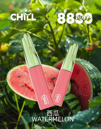 CHILL 鴨嘴獸 8800口 拋棄式電子煙