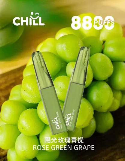 CHILL 鴨嘴獸 8800口 拋棄式電子煙