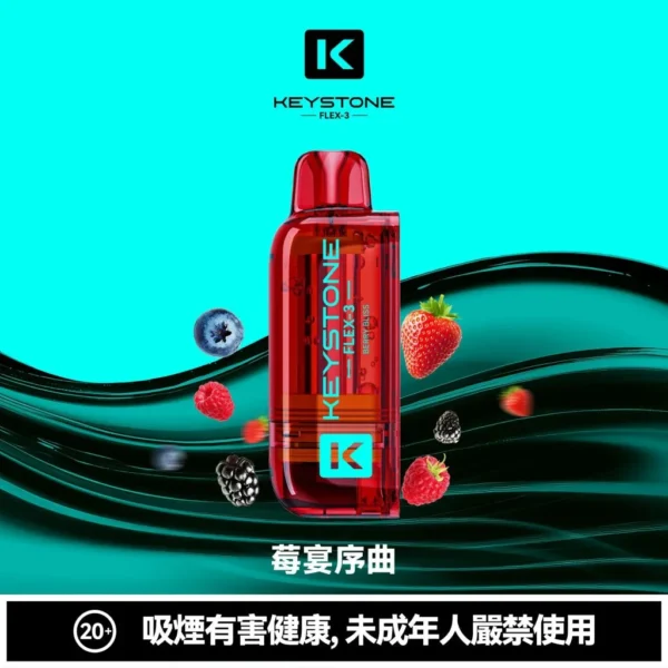 KEYSTONE FLEX-3 鑰石 25000口 磁吸拋棄式電子煙【買一盒煙彈送主機】
