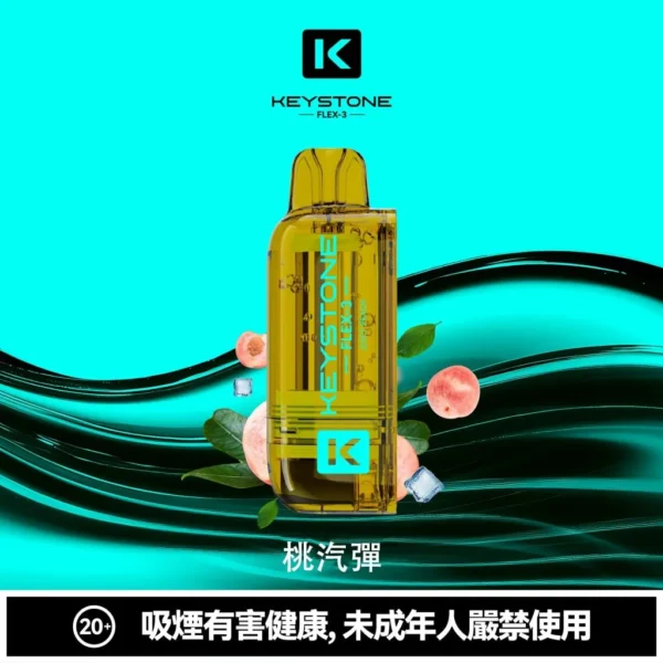 KEYSTONE FLEX-3 鑰石 25000口 磁吸拋棄式電子煙【買一盒煙彈送主機】