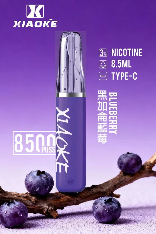 8b2c17ea1d548700b8e9ec2a9e768390.jpg.webp XIAOKE 梟客 8500口 拋棄式電子煙