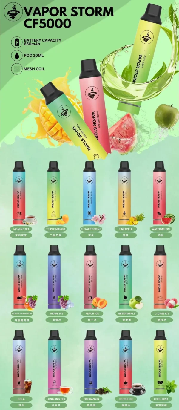 VAPOR STORM 風暴 5000口 拋棄式電子煙