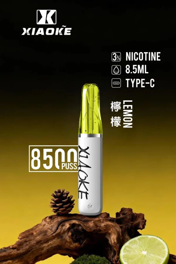 d185d7e28615e84aca893d861a0e04f4-1024x1536.jpg.webp XIAOKE 梟客 8500口 拋棄式電子煙