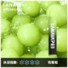 LANA ZOLT 8000口 拋棄式電子煙