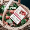 image-289.webp LANA 一代通用煙彈 3顆超值裝 適配一代主機