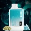 SP2S 思博瑞 GEM 9000口 拋棄式電子煙
